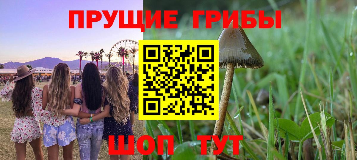 Галлюциногенные грибы Magic Shrooms  Вход с VPN  Десногорск 