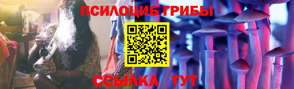 Псилоцибиновые грибы мицелий Десногорск
